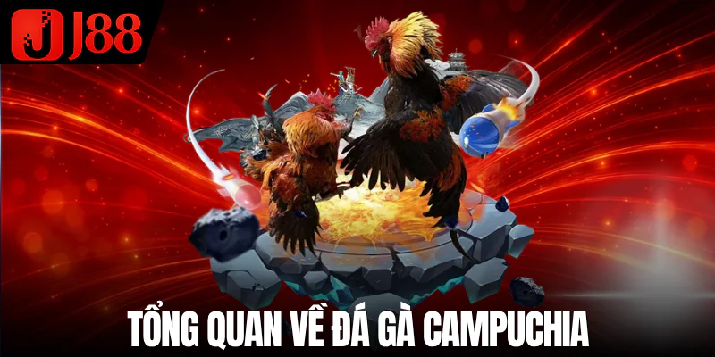 da-ga-campuchia-tong-quan