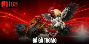 da-ga-thomo