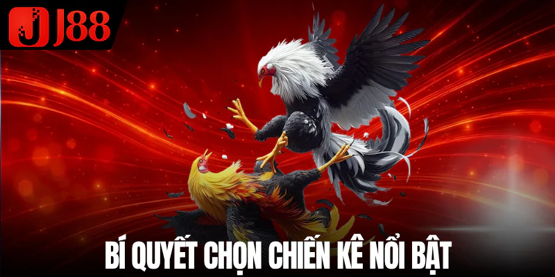da-ga-thomo-chon-chien-ke